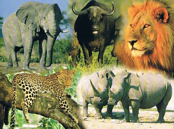 Big Five