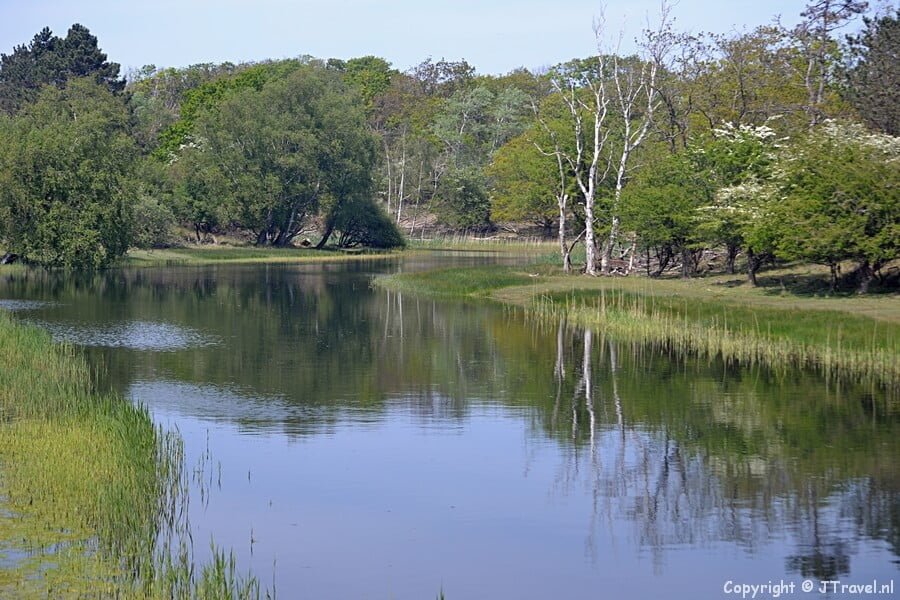 Amsterdamse Waterleidingduinen