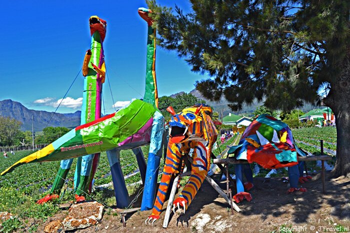 Mooiberge / Copyright © JTravel.nl