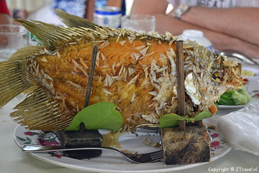 Olifantenvis tijdens de lunch in de Mekong Delta
