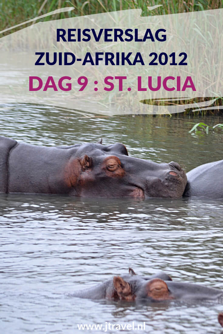 Op dag 9 van mijn23-daagse groepsrondreis door Zuid-Afrika maak ik een boottocht in iSimangaliso Wetland Park met veel nijlpaarden en verblijf ik in St. Lucia. Alles over de negende dag van mijn reis door Zuid-Afrika lees je hier. Lees je mee? #zuidafrika #boottocht #isimagalisowetlandpark #stlucia #reisverslag #jtravel #jtravelblog