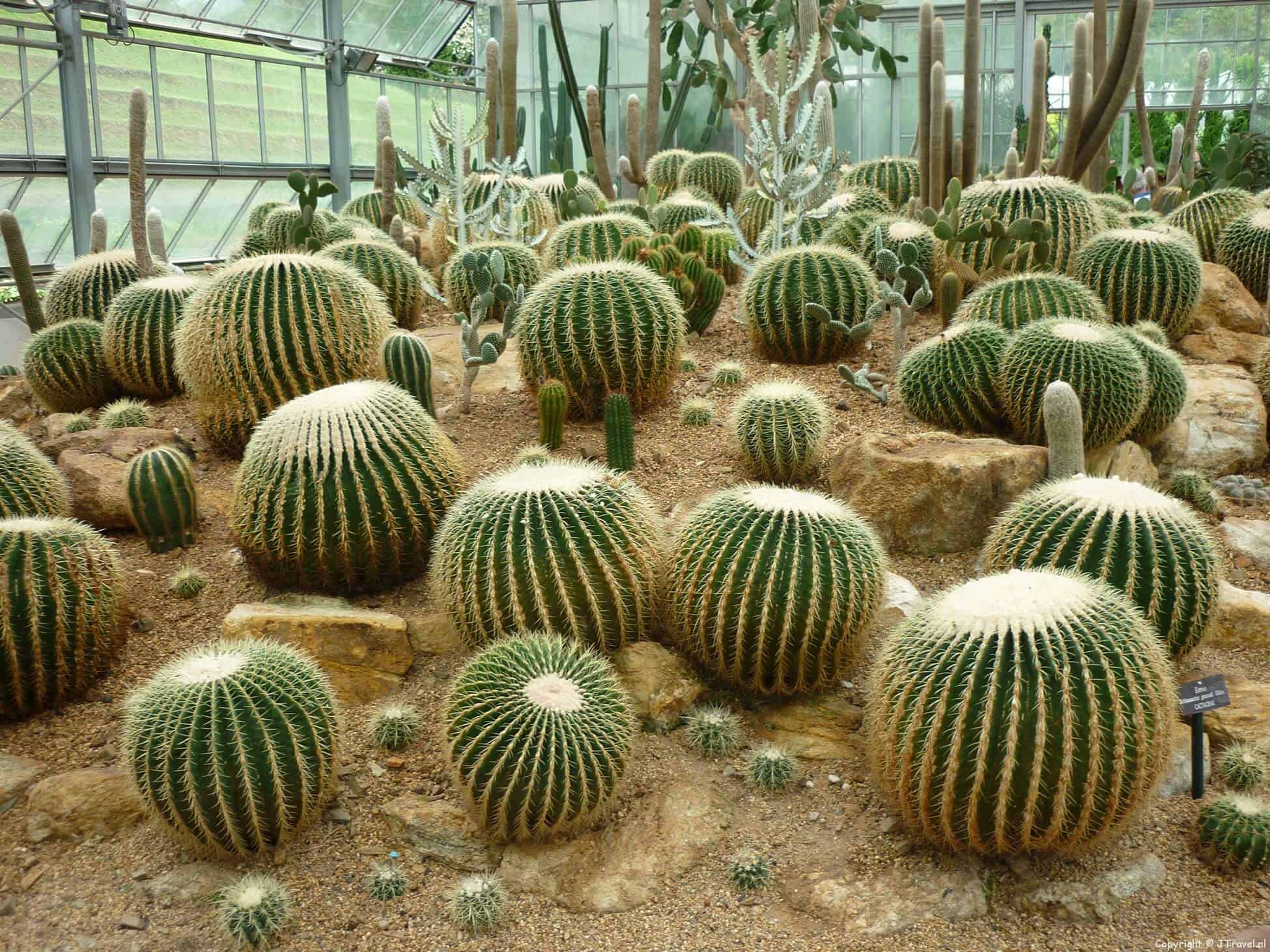 Reisverslag Thailand : dag 8 - dinsdag 6 september 2011