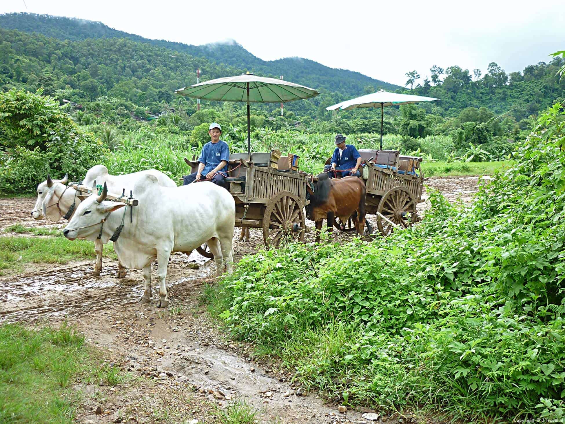 Reisverslag Thailand : dag 9 - woensdag 7 september 2011