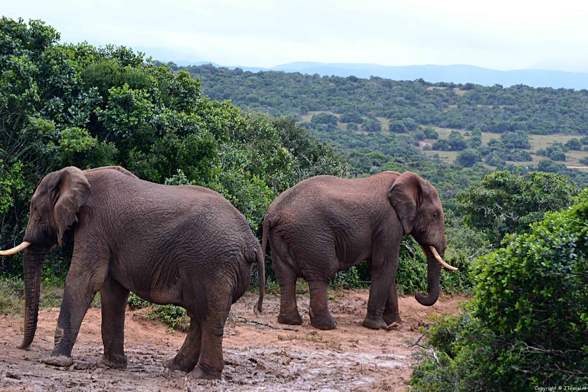 Reisverslag Zuid-Afrika : dag 13 - dinsdag 16 oktober 2012