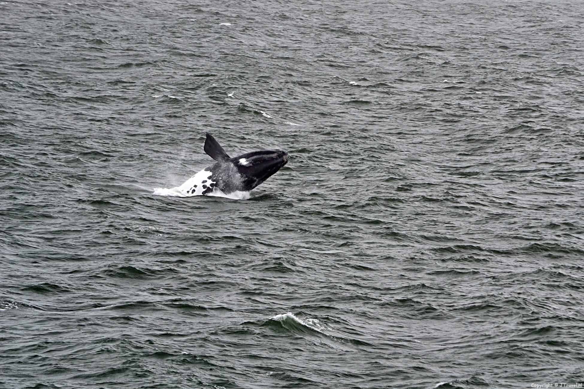 Reisverslag Zuid-Afrika : dag 18 - zondag 21 oktober 2012