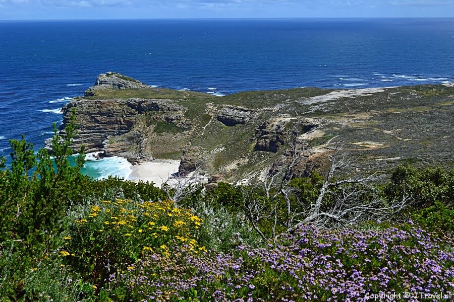 Capepoint