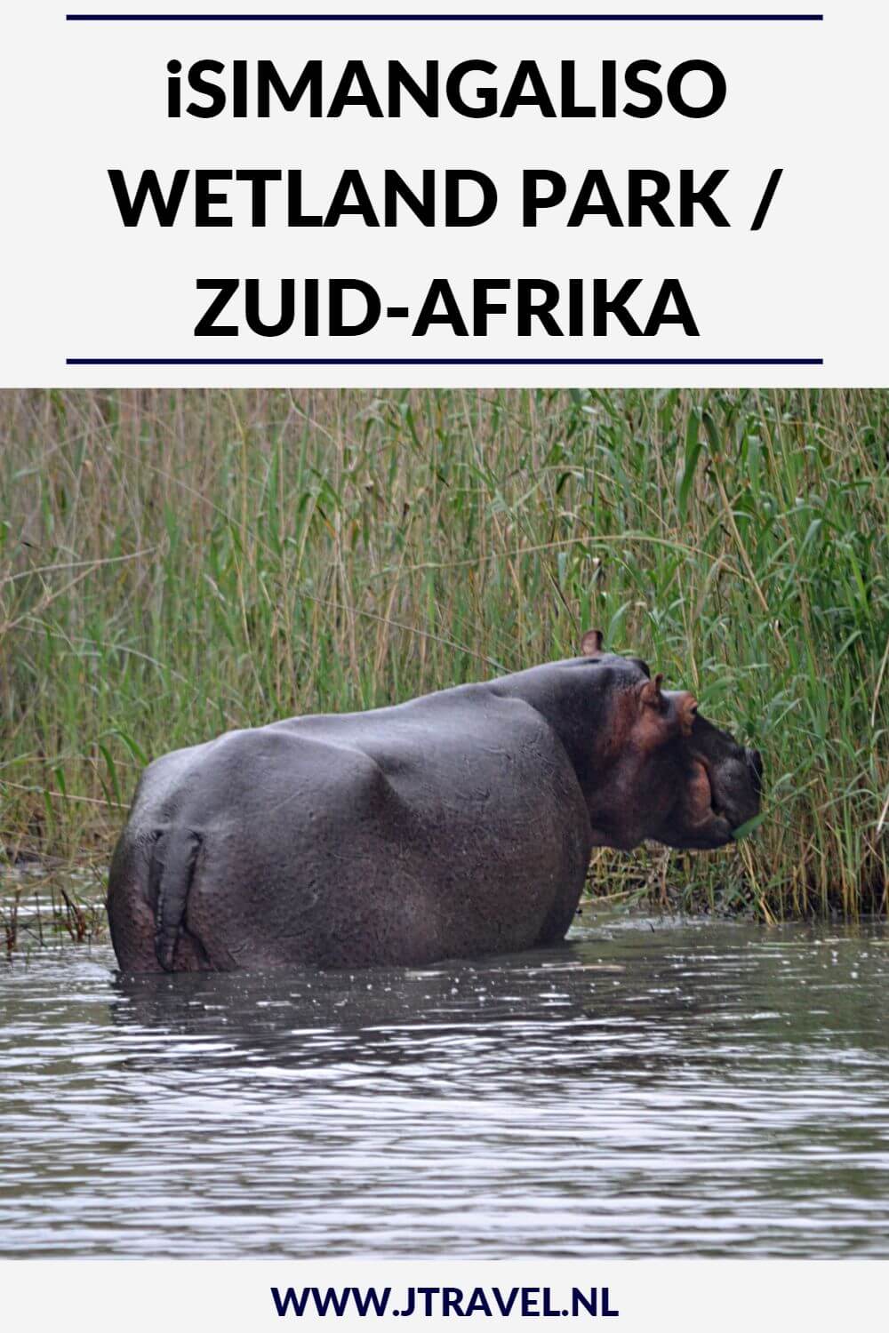 Het iSimangaliso Wetland Park ligt bij St. Lucia. Het iSimangaliso Wetland Park staat op de Werelderfgoedlijst van UNESCO. Ik maakte hier een boottocht en zag heel veel vogels maar vooral nijlpaarden. Het iSimangaliso Wetland Park is bekend om zijn grote hoeveelheid nijlpaarden. Meer weten, lees dan verder. #isimangalisowetlandpark #unesco #werelderfgoedlijst #boottocht #nijlpaarden #zuidafrika #jtravel #jtravelblog Het iSimangaliso Wetland Park ligt bij St. Lucia. Het iSimangaliso Wetland Park staat op de Werelderfgoedlijst van UNESCO. Ik maakte hier een boottocht en zag heel veel vogels maar vooral nijlpaarden. Het iSimangaliso Wetland Park is bekend om zijn grote hoeveelheid nijlpaarden. Meer weten, lees dan verder. #isimangalisowetlandpark #unesco #werelderfgoedlijst #boottocht #nijlpaarden #zuidafrika #jtravel #jtravelblog