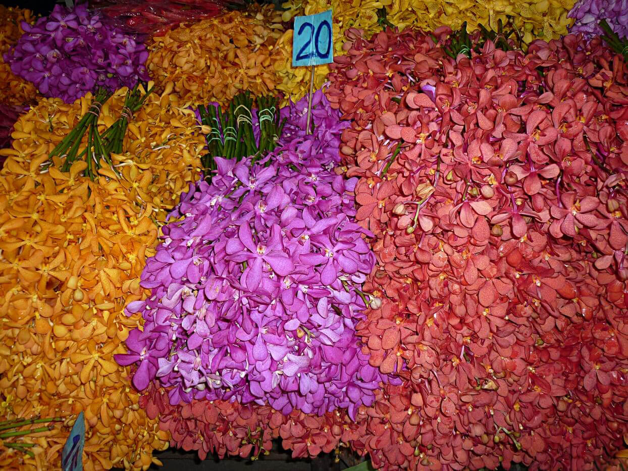 Bloemenmarkt Pak Khlong Talat in Bangkok