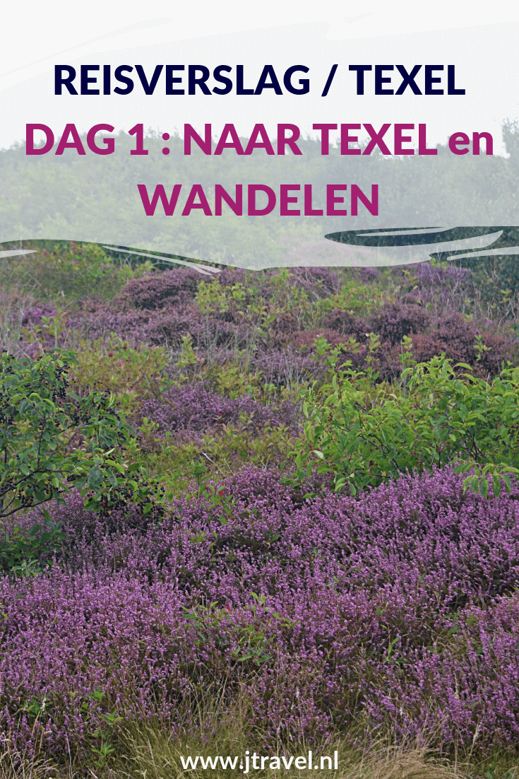 Op dag 1 van mijn verblijf op Texel reisde ik per trein, boot en bus naar De Koog waar ik deze 6 dagen verblijf. 's Middags maak ik een wandeling rond De Koog en bezoek ik het strand. Alles over de eerste dag van mijn verblijf op Texel lees je hier. Lees je mee? #texel #nederland #reisverslag #jtravel #jtravelblog
