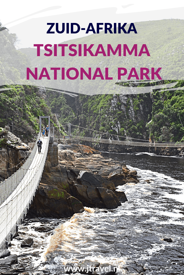 Een wandeling naar de hangbruggen is iets wat veel bezoekers doen in het Tsitsikamma National Park. Het is geen lange wandeling maar je ziet onderweg genoeg. Wil je meer weten, lees dan dit artikel. #tsitsikammanationalpark #nationalpark #wandelen #zuidafrika #jtravel #jtravelblog Een wandeling naar de hangbruggen is iets wat veel bezoekers doen in het Tsitsikamma National Park. Het is geen lange wandeling maar je ziet onderweg genoeg. Wil je meer weten, lees dan dit artikel. #tsitsikammanationalpark #nationalpark #wandelen #zuidafrika #jtravel #jtravelblog