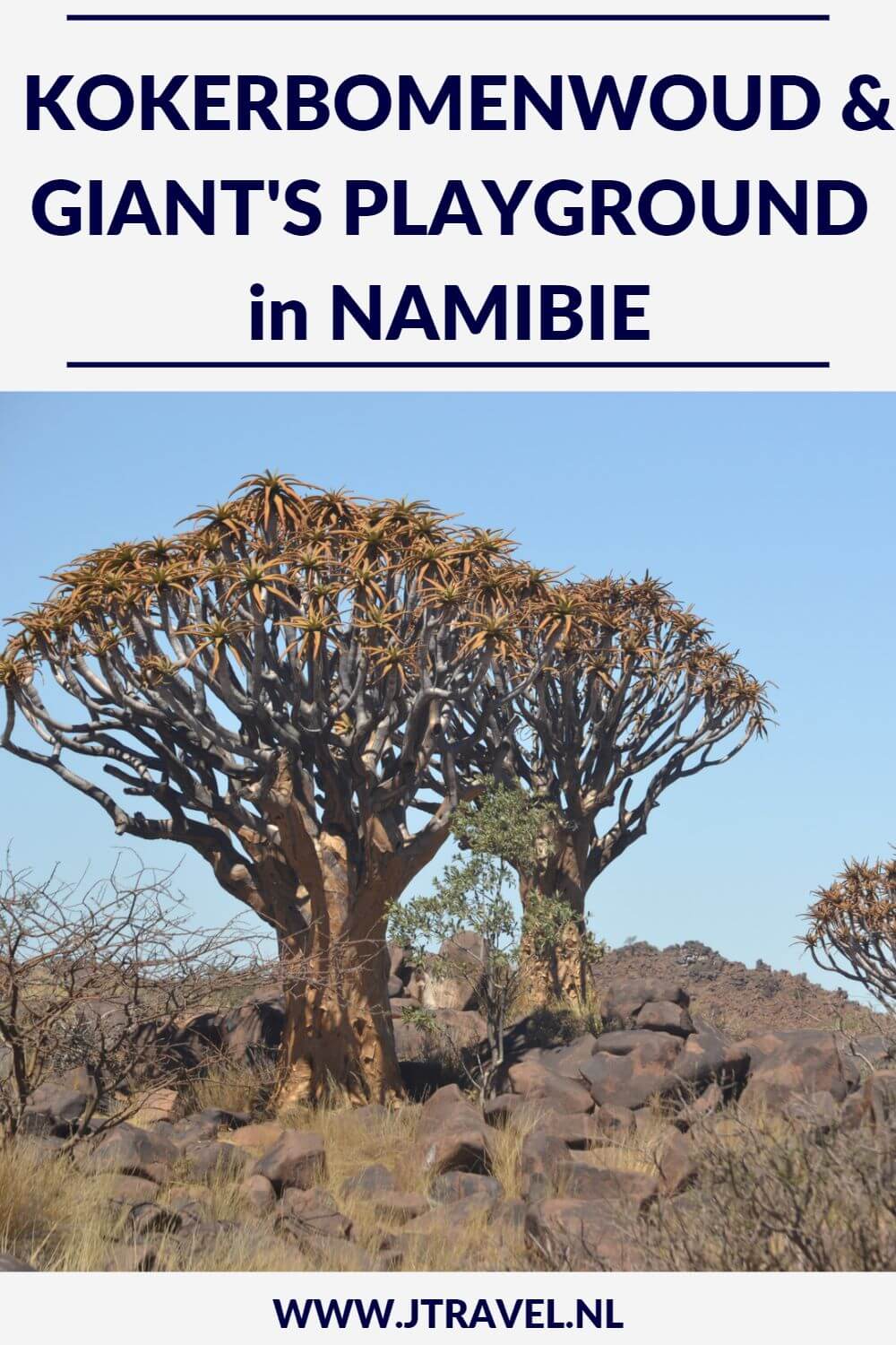 Een paar aparte natuurfenomenen in Namibië zijn het Kokerbomenwoud en Giant's Playground. Op mijn website lees je hier meer over. Lees je mee? #kokerbomenwoud #giantsplayground #namibie #jtravel #jtravelblog