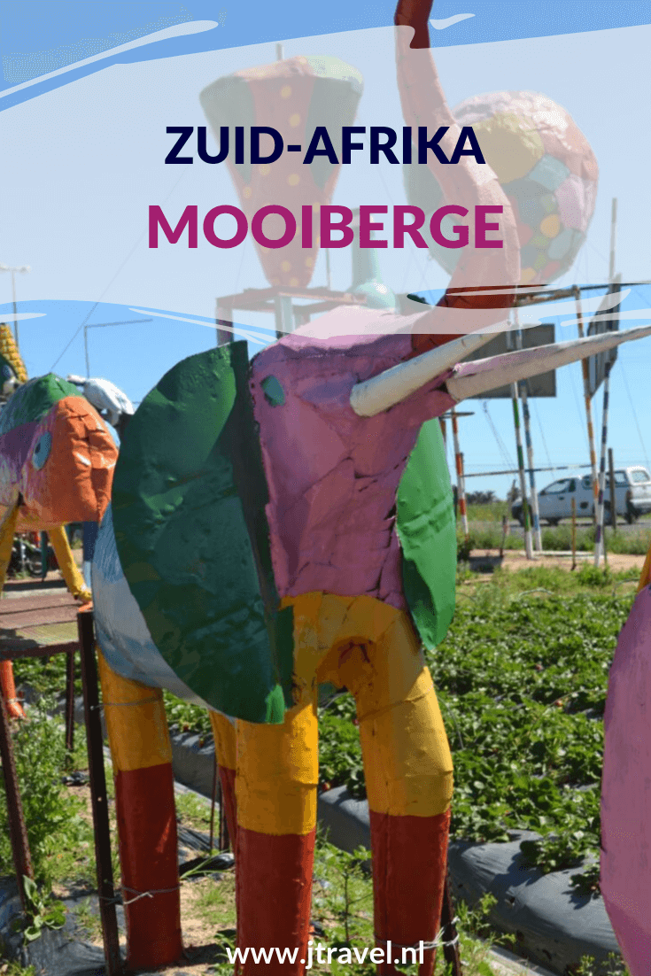 In Mooiberge worden de mooiste en sappigste aardbeien van Zuid-Afrika geoogst. De setting is schitterend, de bergen en wijngaarden zijn het decor en je ziet hier vogelverschrikkers, reuze aardbeien en antieke tractoren. Meer lees je op mijn website. Lees je mee? #mooiberge #zuidafrika #jtravel #jtravelblog In Mooiberge worden de mooiste en sappigste aardbeien van Zuid-Afrika geoogst. De setting is schitterend, de bergen en wijngaarden zijn het decor en je ziet hier vogelverschrikkers, reuze aardbeien en antieke tractoren. Meer lees je op mijn website. Lees je mee? #mooiberge #zuidafrika #jtravel #jtravelblog