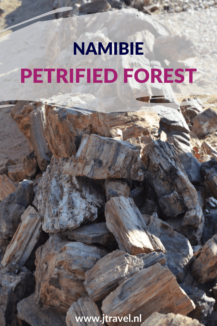 Tijdens mijn rondreis door Namibië bezocht ik het Petrified Forest (Versteende Woud). Dit zijn 50 boomfossielen die naar schatting 260 miljoen jaar oud zijn. Meer weten over dit natuurfenomeen, lees dan mijn website. Lees je mee? #petrifiedforest #namibie #jtravel #jtravelblog