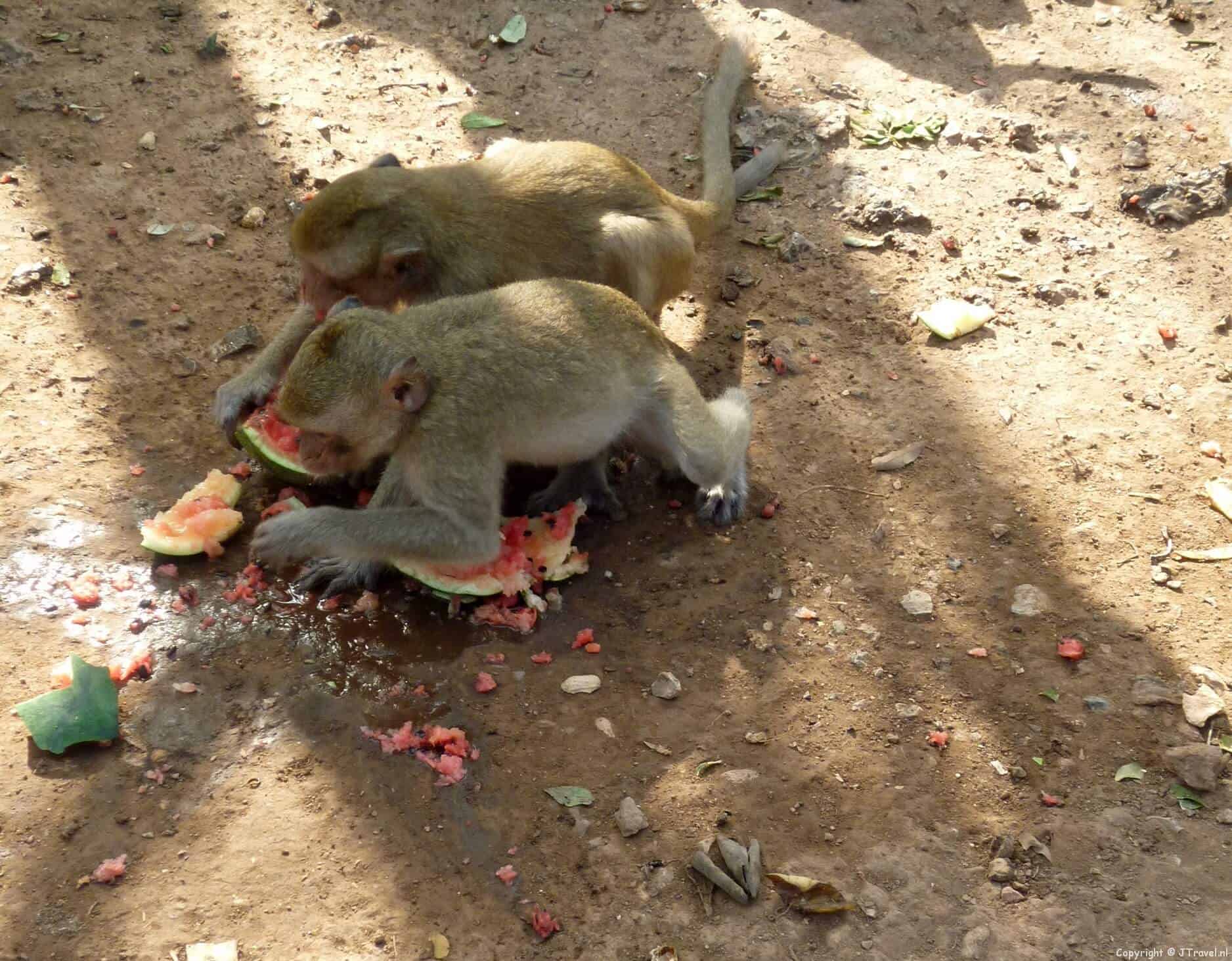 Foto's onderweg in Thailand