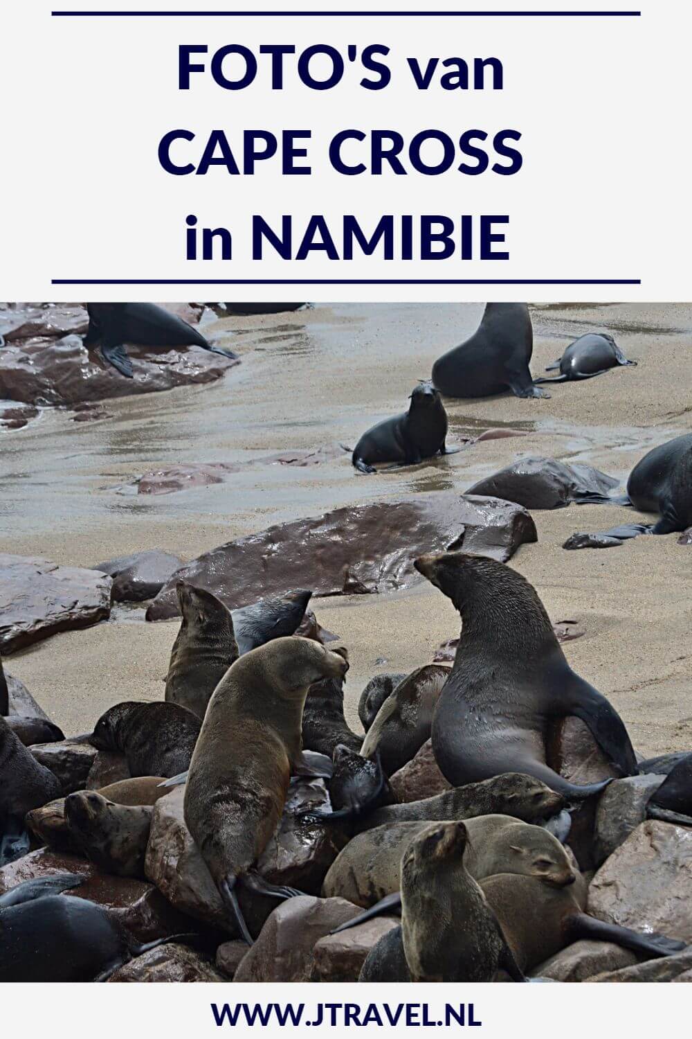 Tijdens mijn rondreis door Namibië bezocht ik de vele zeehonden bij Cape Cross. Hier zie je mijn foto’s van de zeehonden van Cape Cross. Kijk je mee? #capecross #zeehonden #namibie #fotos Tijdens mijn rondreis door Namibië bezocht ik de vele zeehonden bij Cape Cross. Hier zie je mijn foto’s van de zeehonden van Cape Cross. Kijk je mee? #capecross #zeehonden #namibie #fotos