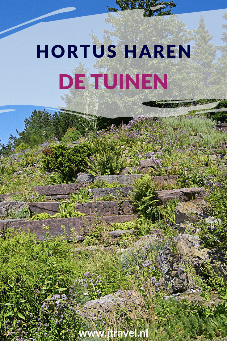In het Groningse Haren vind je de Hortus Botanicus. Het is één van de oudste en grootste botanische tuinen van Nederland. Deze Hortus is bekend om zijn Chinese Tuin. Meer over deze Chinese tuin lezen of de andere tuinen. Kijk dan op mijn website. Lees je mee? #hortus #hortusbotanicus #hortusharen #haren #groningen #jtravel #jtravelblog In het Groningse Haren vind je de Hortus Botanicus. Het is één van de oudste en grootste botanische tuinen van Nederland. Deze Hortus is bekend om zijn Chinese Tuin. Meer over deze Chinese tuin lezen of de andere tuinen. Kijk dan op mijn website. Lees je mee? #hortus #hortusbotanicus #hortusharen #haren #groningen #jtravel #jtravelblog