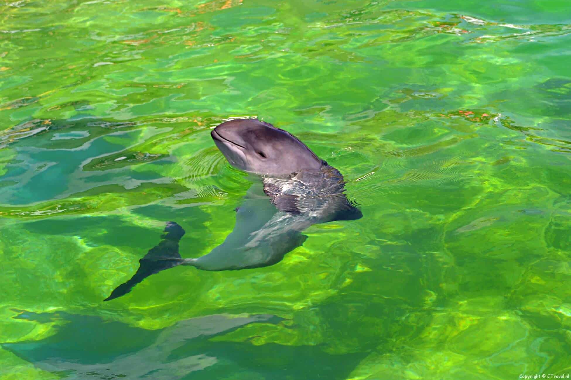 Ecomare in De Koog op Texel