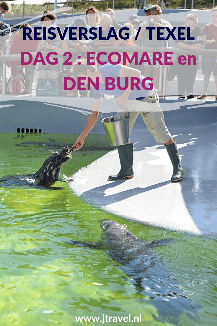 Op dag 2 van mijn verblijf op Texel bezoek ik zeehondenopvang Ecomare, Den Burg en de Oudheidkamer. Alles over de tweede dag van mijn verblijf op Texel lees je hier. Lees je mee? #texel #nederland #reisverslag #ecomare #zeehondenopvang #denburg #oudheidkamer #oudheidkamerdenburg #jtravel #jtravelblog Op dag 2 van mijn verblijf op Texel bezoek ik zeehondenopvang Ecomare, Den Burg en de Oudheidkamer. Alles over de tweede dag van mijn verblijf op Texel lees je hier. Lees je mee? #texel #nederland #reisverslag #ecomare #zeehondenopvang #denburg #oudheidkamer #oudheidkamerdenburg #jtravel #jtravelblog