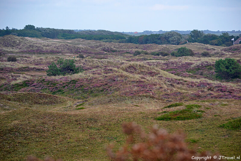 De Duinen van Texel bij De Koog
