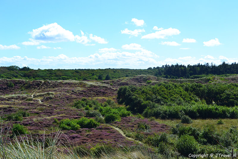 De natuur in het Duinpark in Ecomare