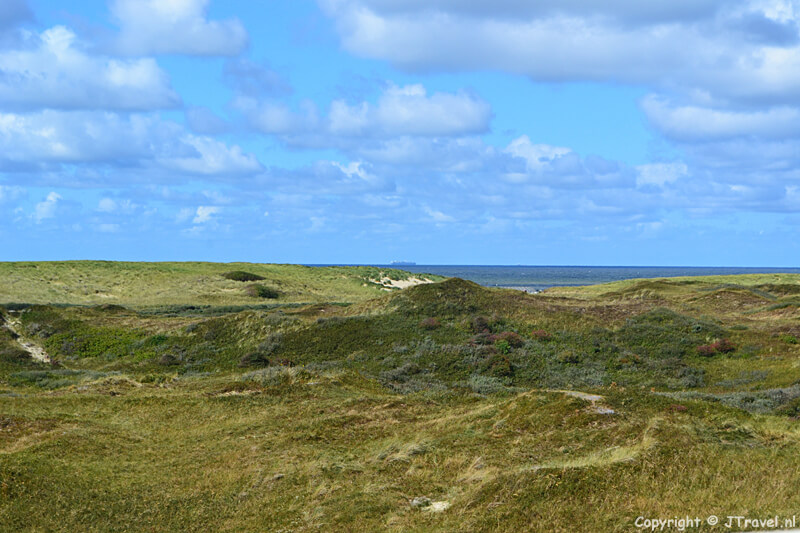 Uitzicht naar de zee vanuit het Duinpark in Ecomare