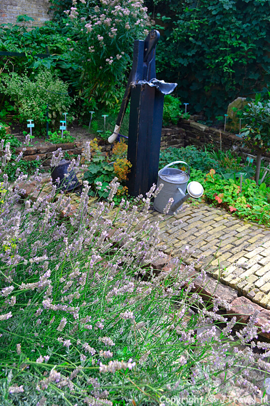 De waterpomp in de kruidentuin van de Oudheidkamer in Den Burg