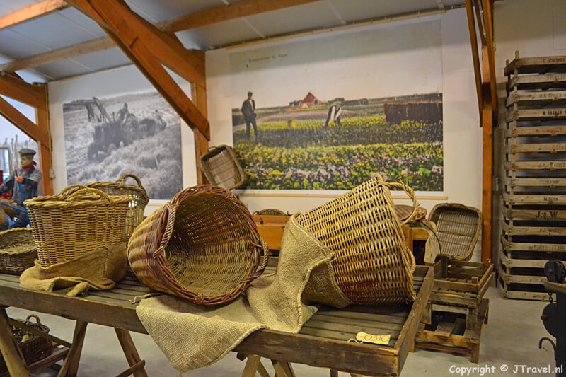 De narcissen in het Cultuurhistorisch Museum Texel in De Waal