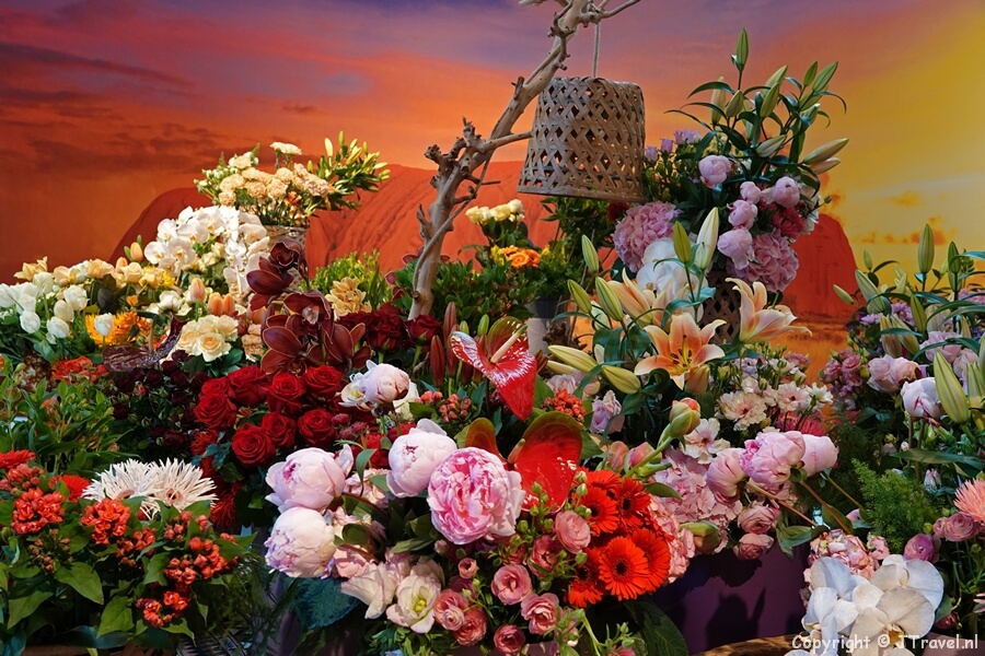 Alstroemeria bloemenshow in de Keukenhof 2022