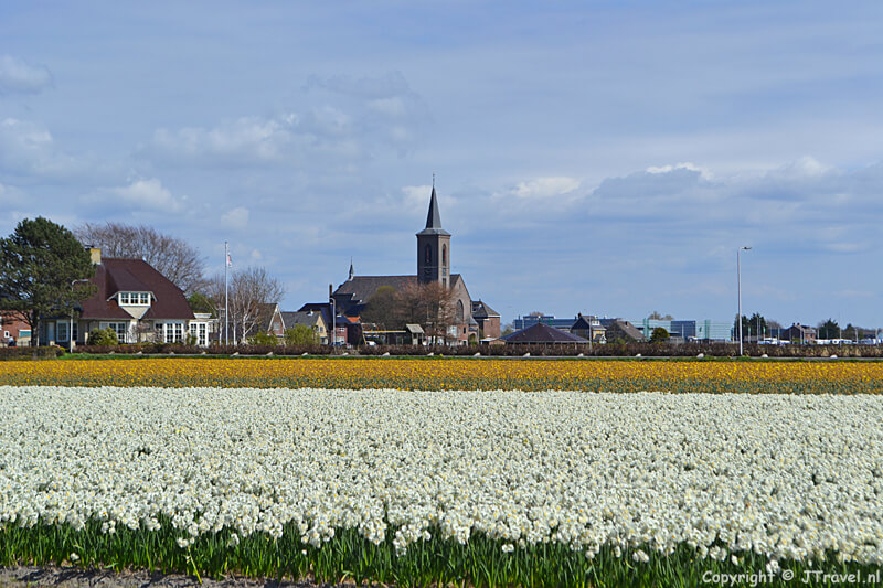 De Bollenstreek rond De Zilk