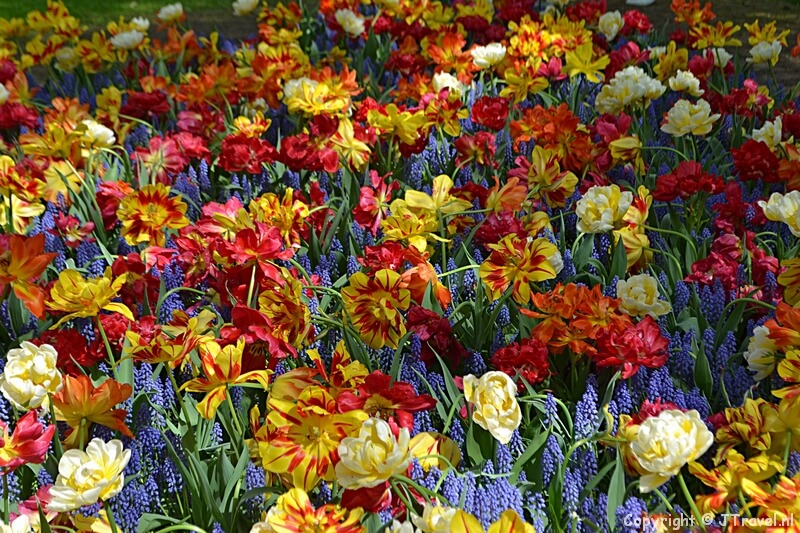 Keukenhof 2018