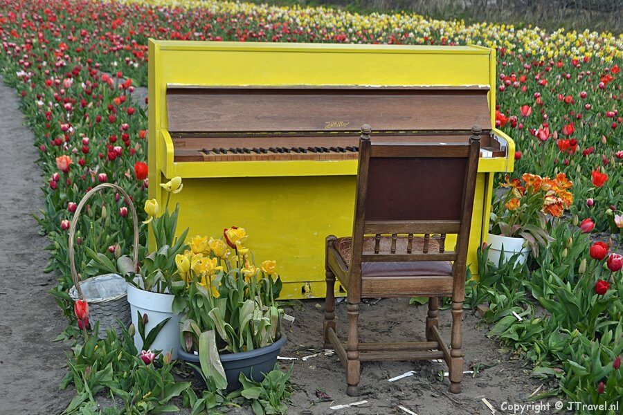 The Tulip Barn in Hillegom