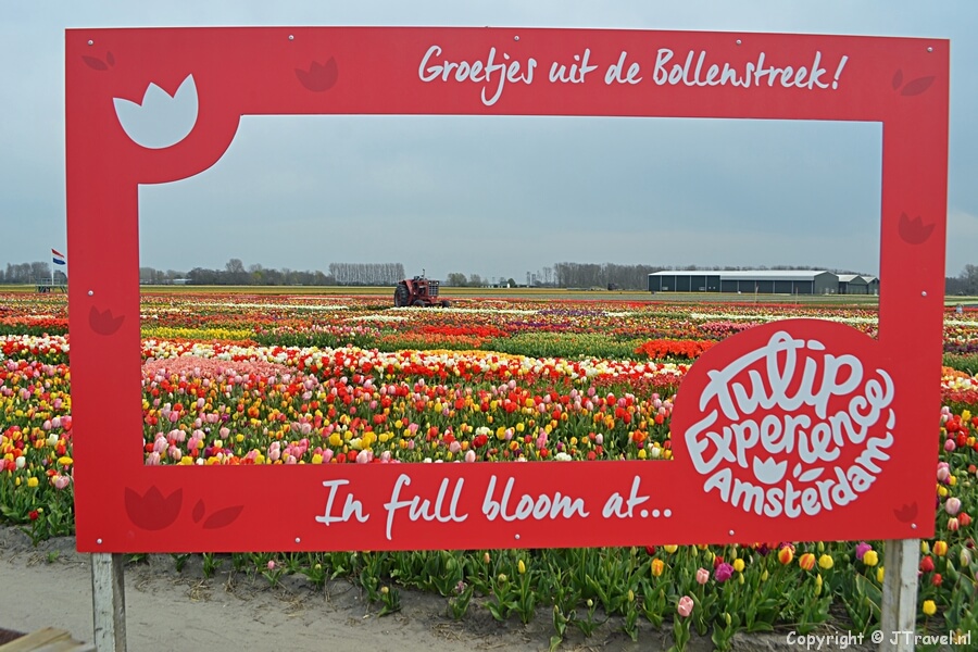Tulip Experience Amsterdam tijdens mijn wandeling in de Bollenstreek, april 2021
