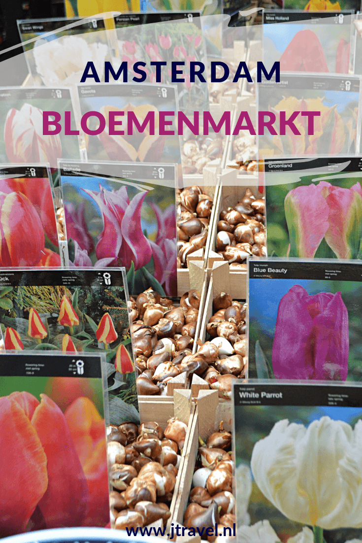 De Amsterdamse Bloemenmarkt, flower market, is één van de grootste en kleurrijkste toeristische trekpleisters en een permanente markt in de binnenstad van Amsterdam. Meer over de Bloemenmarkt lees je hier. Lees je mee? #bloemenmarkt #amsterdam #flowermarket #jtravel #jtravelblog
