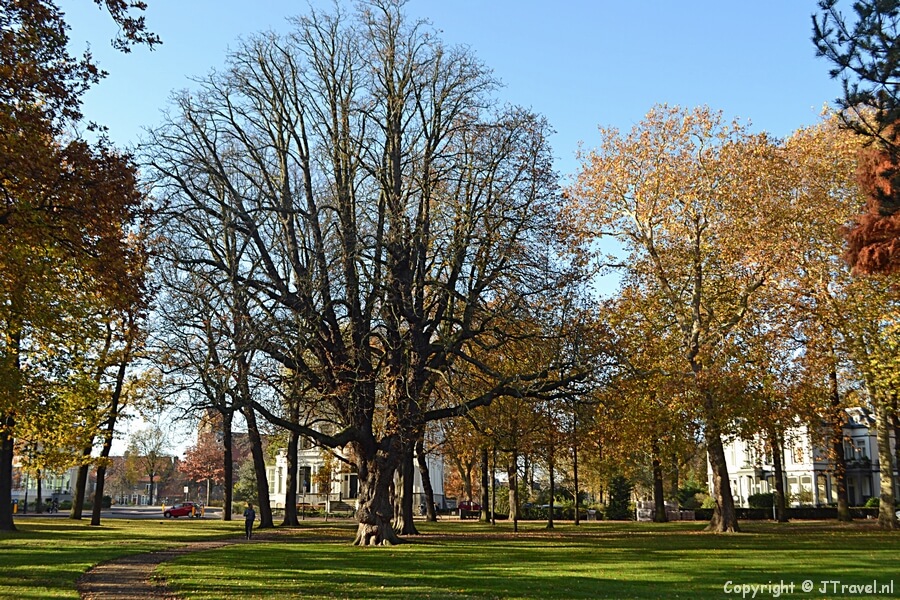Het Kenaupark in Haarlem / Copyright © JTravel.nl
