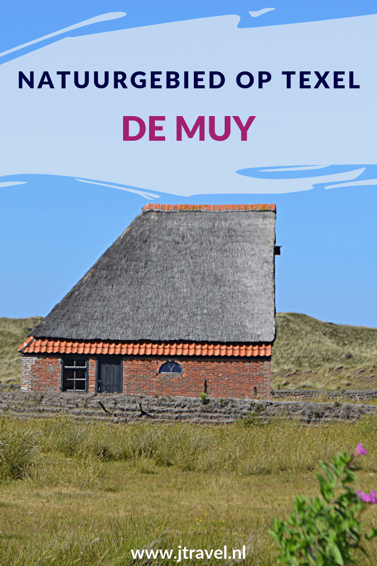 De Muy is een beschermd duingebied tussen De Koog en De Slufter op Texel. Hier leven veel vogels. Een heerlijk gebied voor een wandeling. Loop je mee? #demuy #texel #wandelen #waddeneiland #nederland #natuurgebied #jtravel #jtravelblog