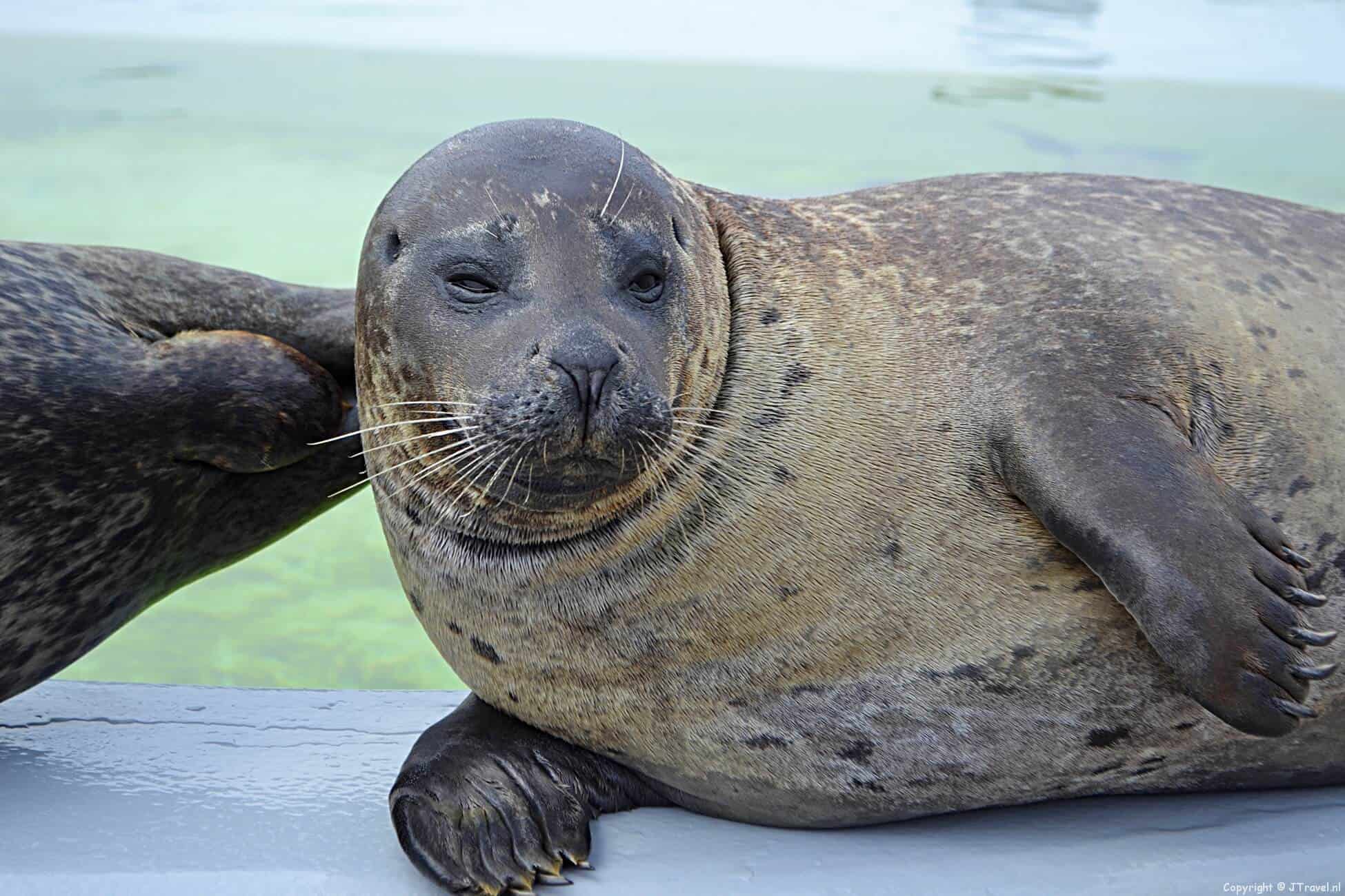 Ecomare in De Koog op Texel