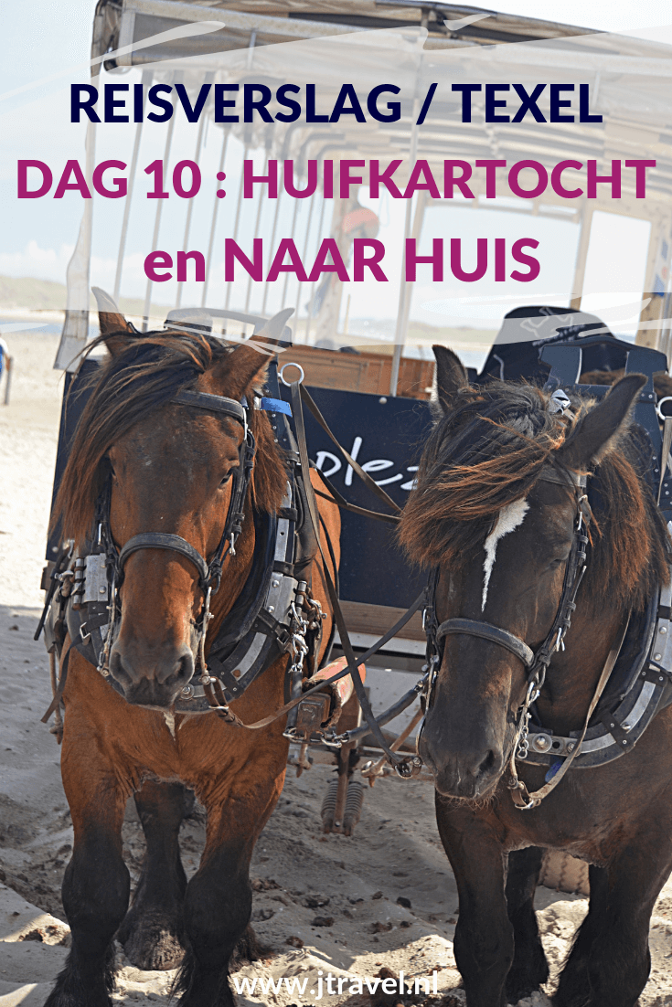 Op dag 10 van mijn verblijf op Texel maak ik vanuit De Koog een huifkartocht door natuurgebieden De Muy en De Slufter. Daarna reis ik per bus, boot en trein weer terug naar huis. Alles over deze laatste zesde dag van mijn verblijf op Texel lees je hier. Lees je mee? #texel #nederland #huifkartocht #janplezier #dekoog #reisverslag #jtravel #jtravelblog