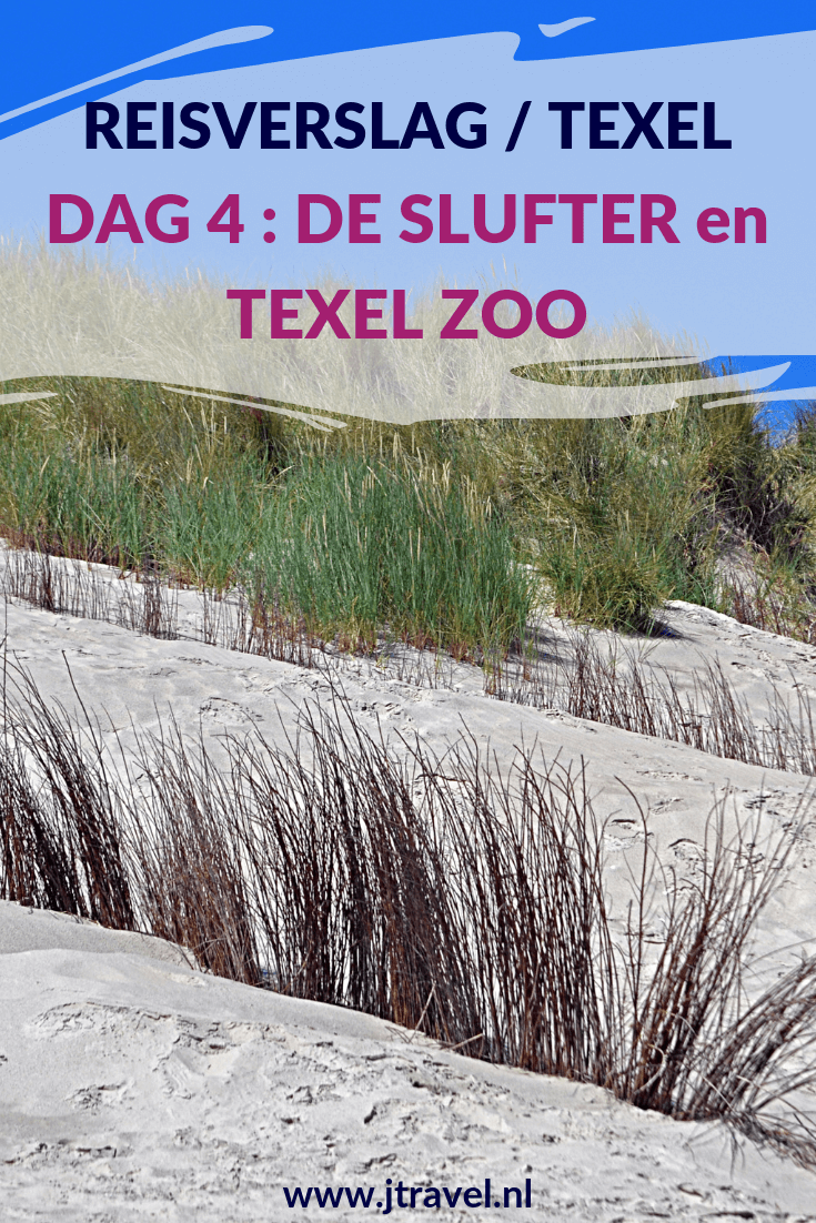 Op dag 4 van mijn verblijf op Texel wandel ik in natuurgebied De Slufter, breng ik een bezoek aan het Luchtvaart- en Oorlogsmuseum Texel en het vliegveld, Texel Zoo en wandel ik nog een stukje in natuurgebied De Muy. Alles over de vierde dag van mijn verblijf op Texel lees je hier. Lees je mee? #texel #nederland #waddeneiland #reisverslag #deslufter #wandelen #hiken #jtravel #jtravelblog #luchtvaartenoorlogsmusuemtexel #vliegveldtexel #texelzoo #demuy Op dag 4 van mijn verblijf op Texel wandel ik in natuurgebied De Slufter, breng ik een bezoek aan het Luchtvaart- en Oorlogsmuseum Texel en het vliegveld, Texel Zoo en wandel ik nog een stukje in natuurgebied De Muy. Alles over de vierde dag van mijn verblijf op Texel lees je hier. Lees je mee? #texel #nederland #waddeneiland #reisverslag #deslufter #wandelen #hiken #jtravel #jtravelblog #luchtvaartenoorlogsmusuemtexel #vliegveldtexel #texelzoo #demuy