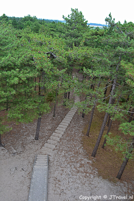 Fonteinsnol in natuurgebied de Dennen