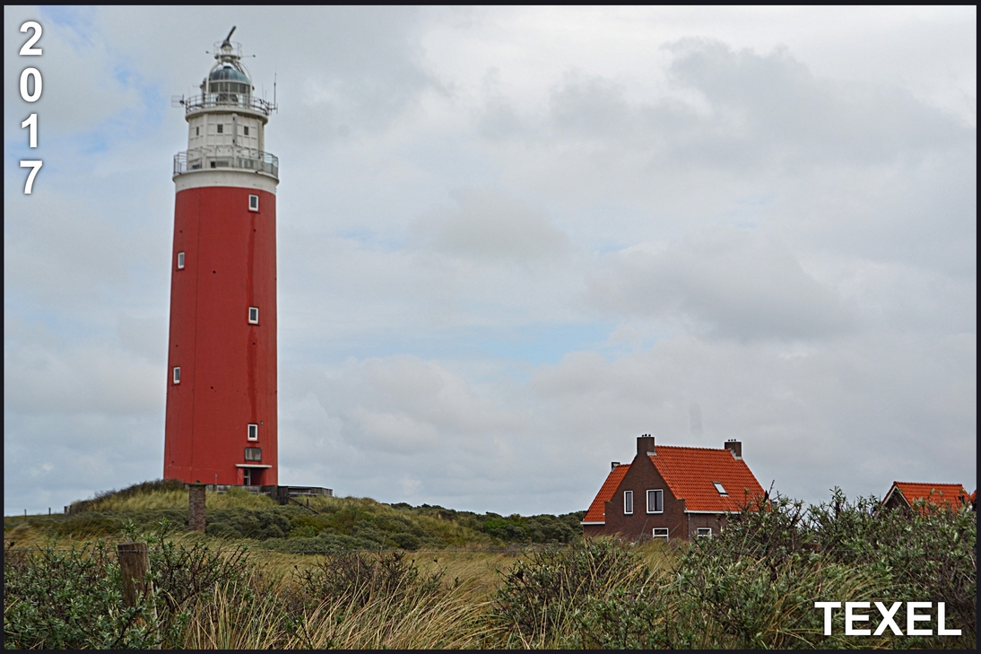 Texel