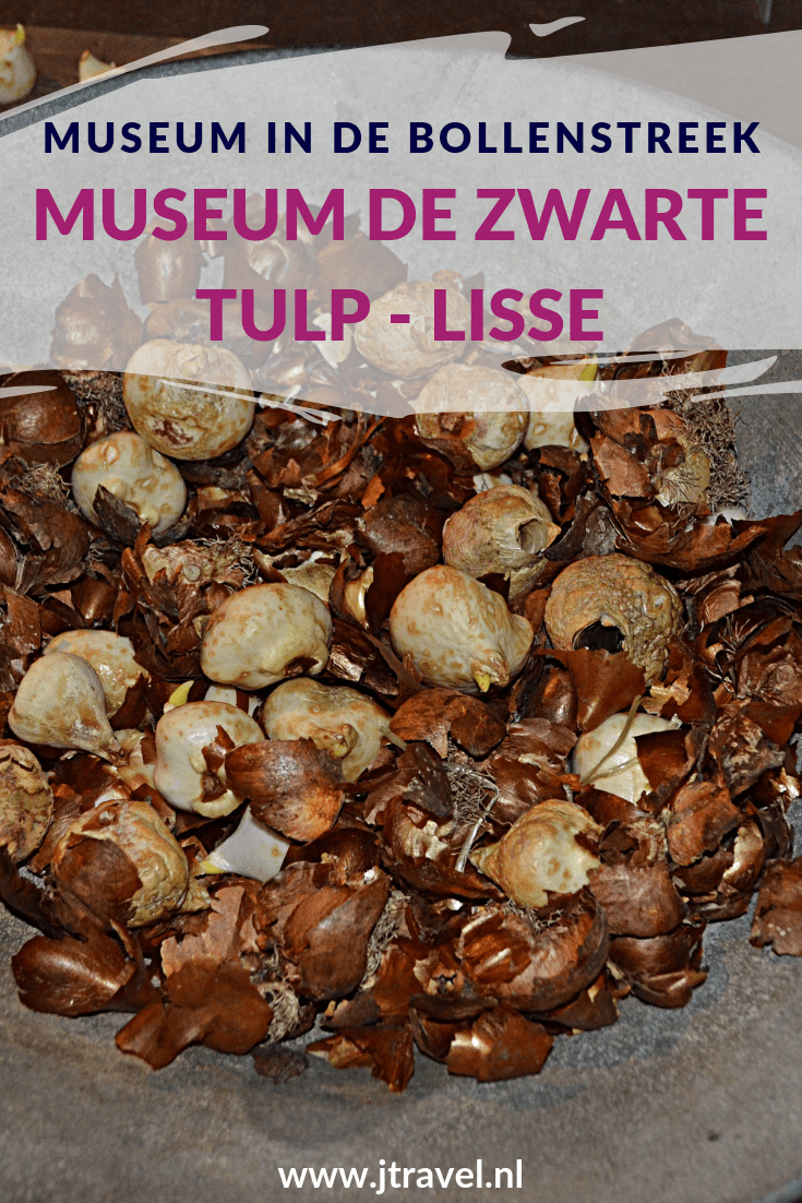Museum De Zwarte Tulp in Lisse vertelt je alles over 500 jaar geschiedenis van de Duin- en Bloembollenstreek en de bloembollencultuur, de export en promotie van de Bollenstreek om toeristen te trekken. Op mijn website lees je meer over Museum De Zwarte Tulp in Lisse. Lees je mee? #museumdezwartetulp #lisse #bollenstreek #museumkaart #jtravel #jtravelblog Museum De Zwarte Tulp in Lisse vertelt je alles over 500 jaar geschiedenis van de Duin- en Bloembollenstreek en de bloembollencultuur, de export en promotie van de Bollenstreek om toeristen te trekken. Op mijn website lees je meer over Museum De Zwarte Tulp in Lisse. Lees je mee? #museumdezwartetulp #lisse #bollenstreek #museumkaart #jtravel #jtravelblog