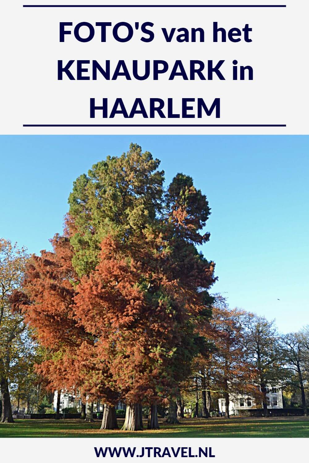 Niet ver van het station van Haarlem ligt het Kenaupark met het momument van verzetsstrijdster Hannie Schaft. Mijn foto's van dit park zie je op mijn website. Kijk je mee? #kenaupark #haarlem #hannieschaft #jtravel #jtravelblog #fotos Niet ver van het station van Haarlem ligt het Kenaupark met het momument van verzetsstrijdster Hannie Schaft. Mijn foto's van dit park zie je op mijn website. Kijk je mee? #kenaupark #haarlem #hannieschaft #jtravel #jtravelblog #fotos