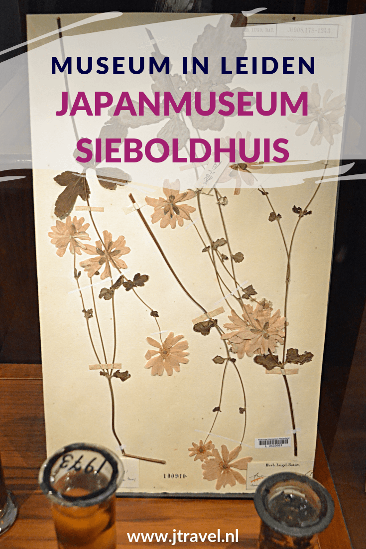 In het Japanmuseum SieboldHuis aan de Rapenburg in Leiden zie veel voorwerpen uit Japan, zoals lakwerk, keramiek, geprepareerde dieren, munten, kleding, oude landkaarten en prenten. Deze voorwerpen zijn tussen 1823 en 1829 verzameld door Philipp Franz von Siebold. Gratis toegankelijk met je museumkaart. Meer over dit museum lees je in dit artikel. Lees je mee? #leiden #japanumuseumsieboldhuis #museumkaart #museum #jtravel #jtravelblog