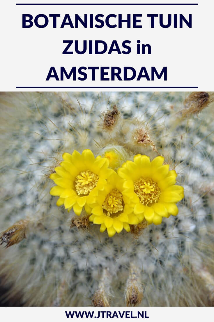 Midden in de hectiek van Amsterdam-Zuid ligt de Botanische Tuin Zuidas. Mooi, rustig en de toegang is gratis! Meer hierover lees je op mijn website, lees je mee? #botanischetuinzuidas #amsterdamzuid #amsterdam #botanischetuin