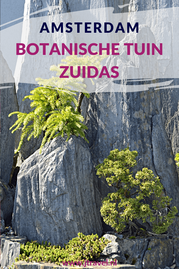 Midden in de hectiek van Amsterdam-Zuid ligt de Botanische Tuin Zuidas. Mooi, rustig en de toegang is gratis! Meer hierover lees je op mijn website, lees je mee? #botanischetuinzuidas #amsterdamzuid #amsterdam #botanischetuin