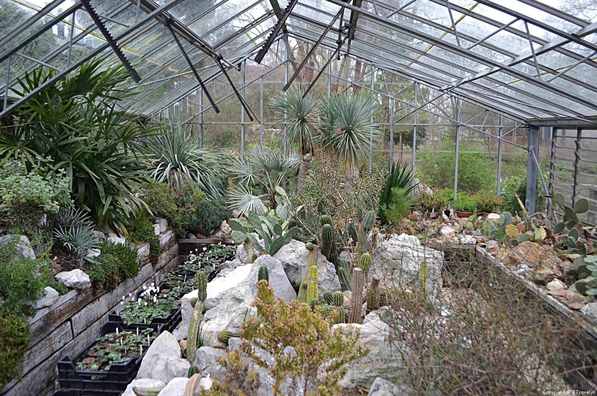 Botanische Tuin Zuidas in Amsterdam