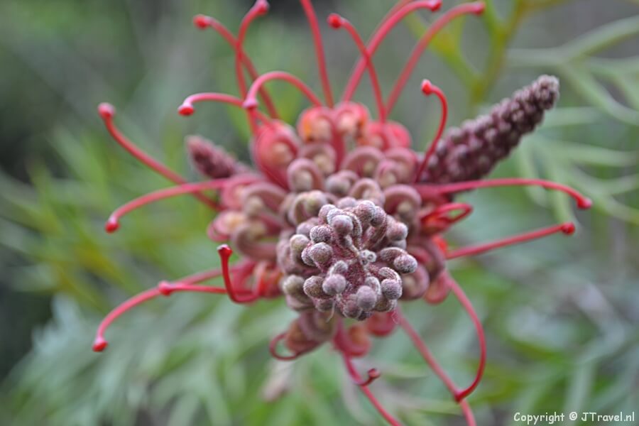 In de Botanische Tuin Zuidas in Amsterdam