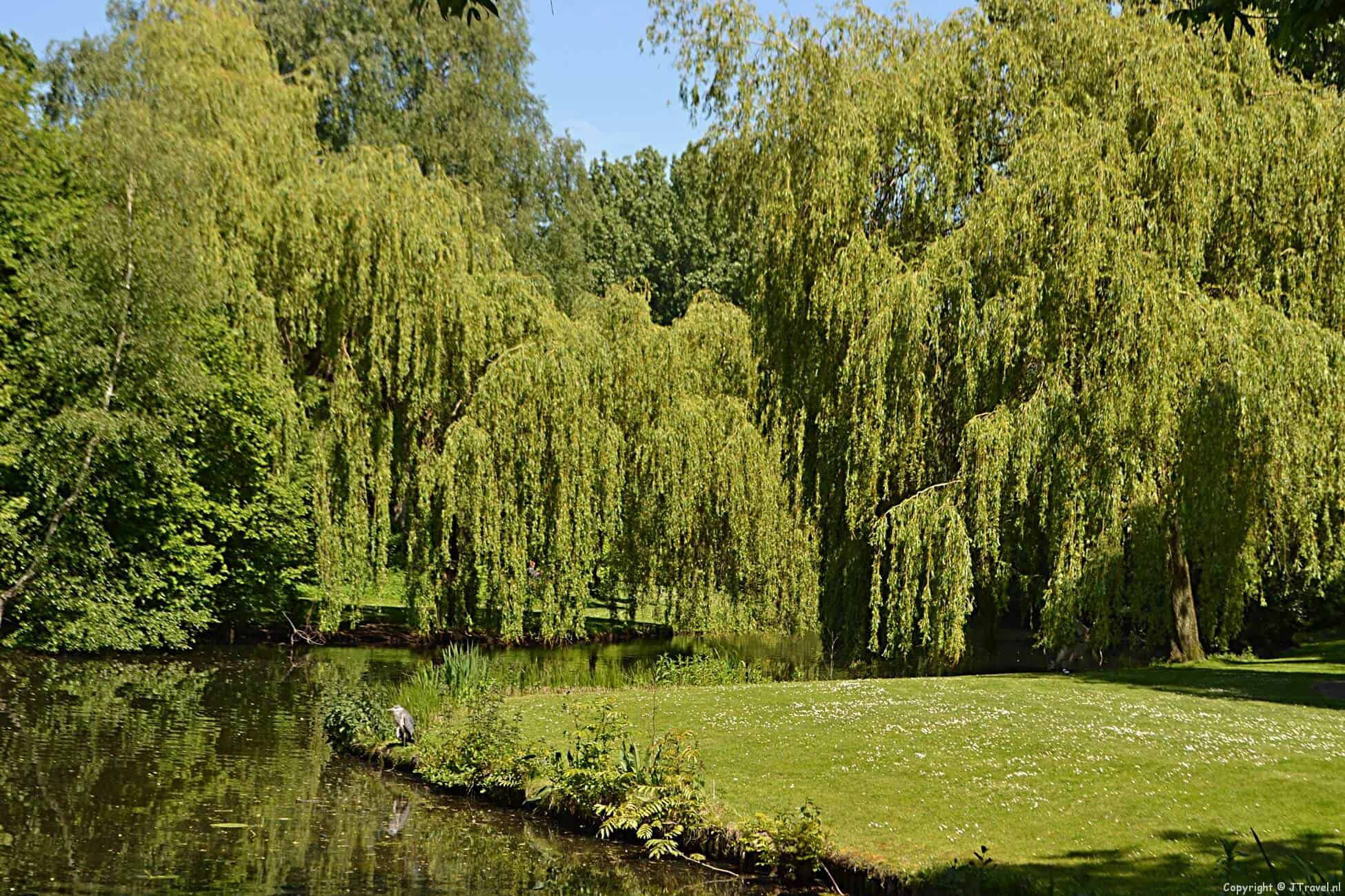 Beatrixpark in Amsterdam