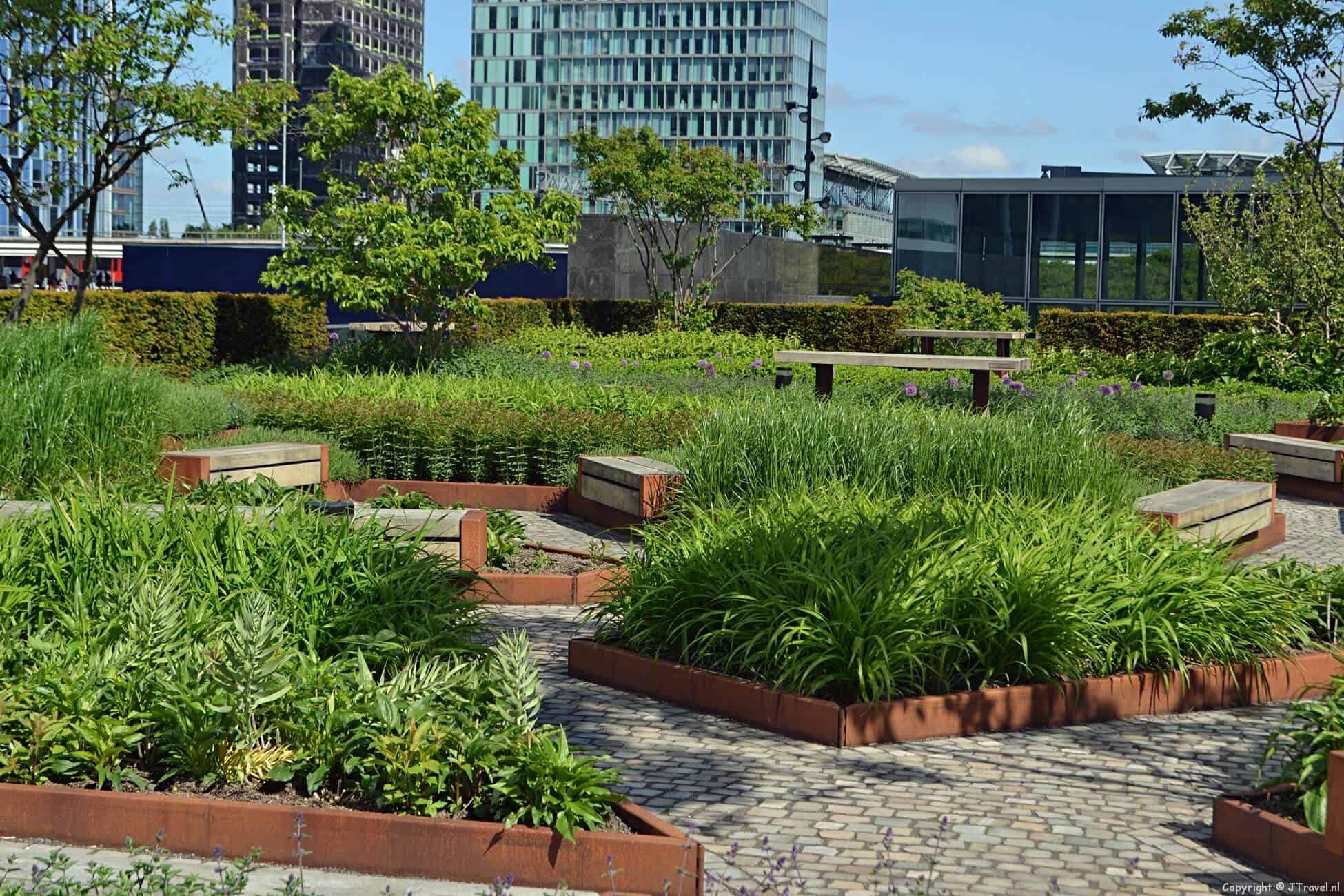 Groene wandeling langs de Amsterdamse Zuidas