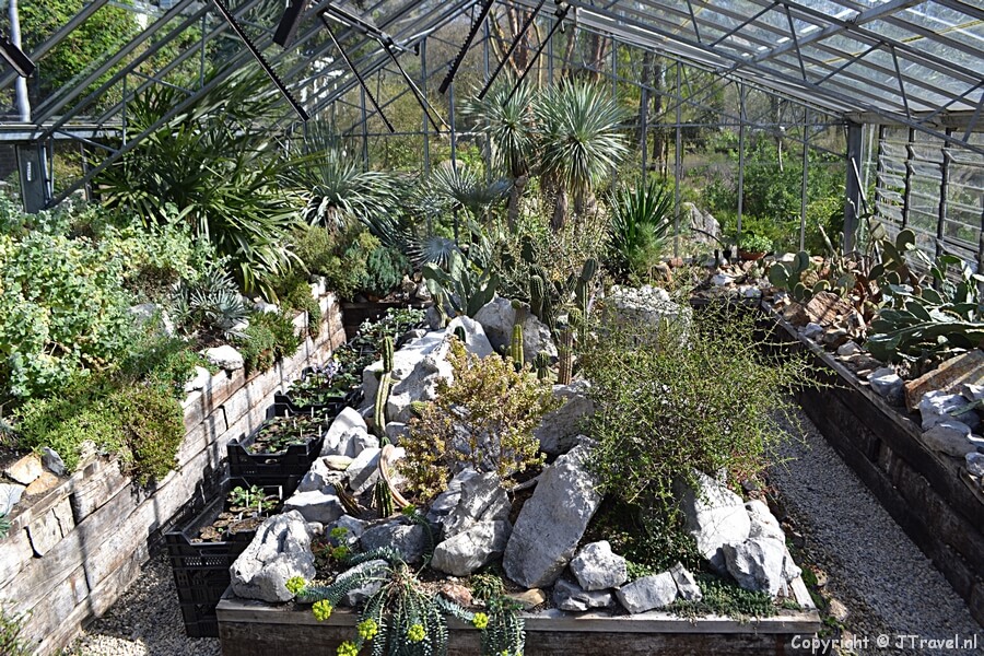 De Botanische Tuin Zuidas in Amsterdam